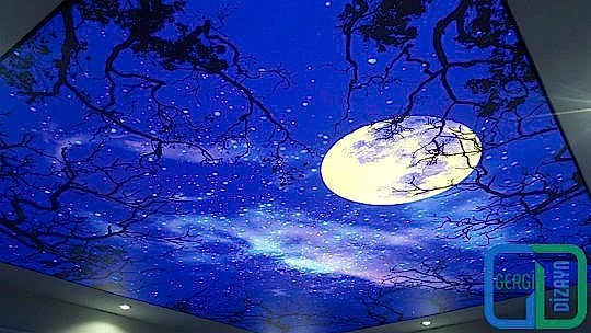 gece-manzarali-gergi-tavan-3