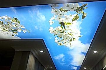 Bahçelievler Gergi Tavan