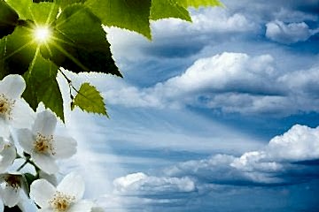 Bayrampaşa Gergi Tavan