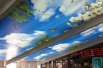 Avcılar Gergi Tavan