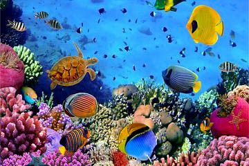 Gergi Tavan Resimleri