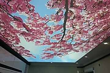 Esenyurt Gergi Tavan